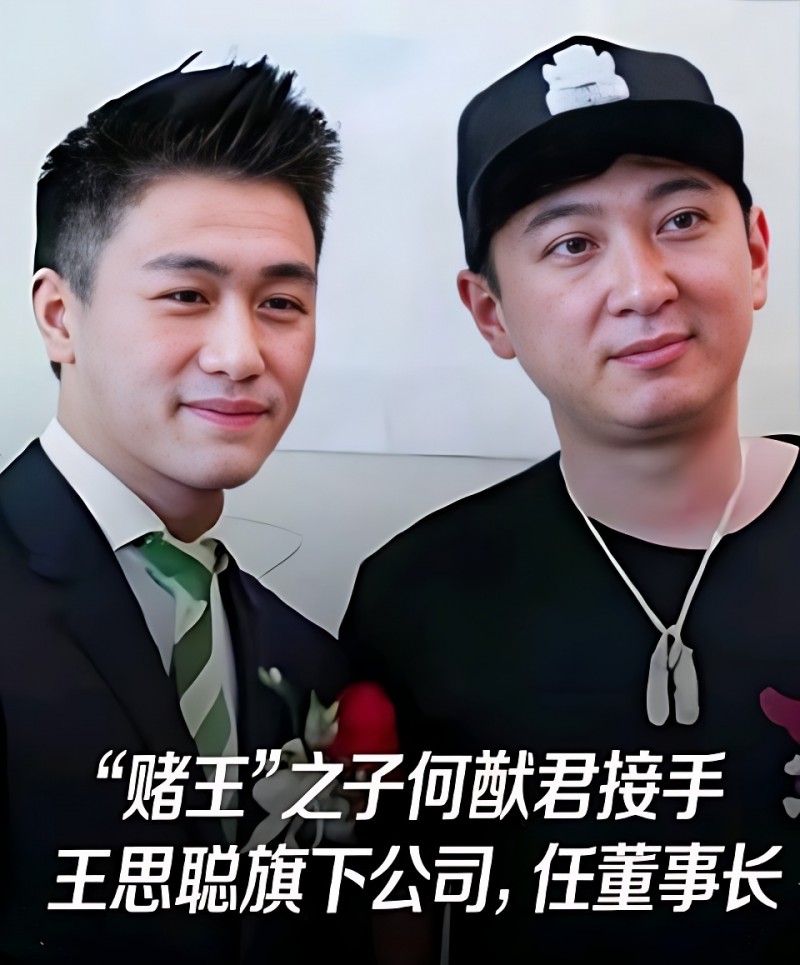 王思聪资产被何猷君收购！汪小菲也没有想到，自己当年的话应验了