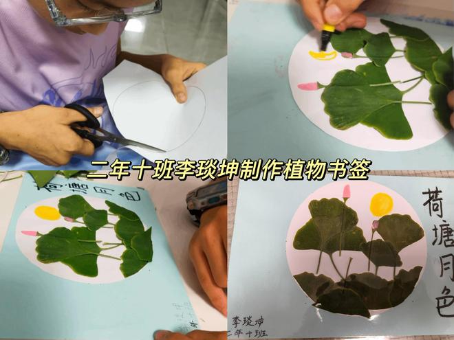 自然书签魔法！山西师范大学附属学校（太原市小店区东中环学校）学子解锁夏日诗意密码