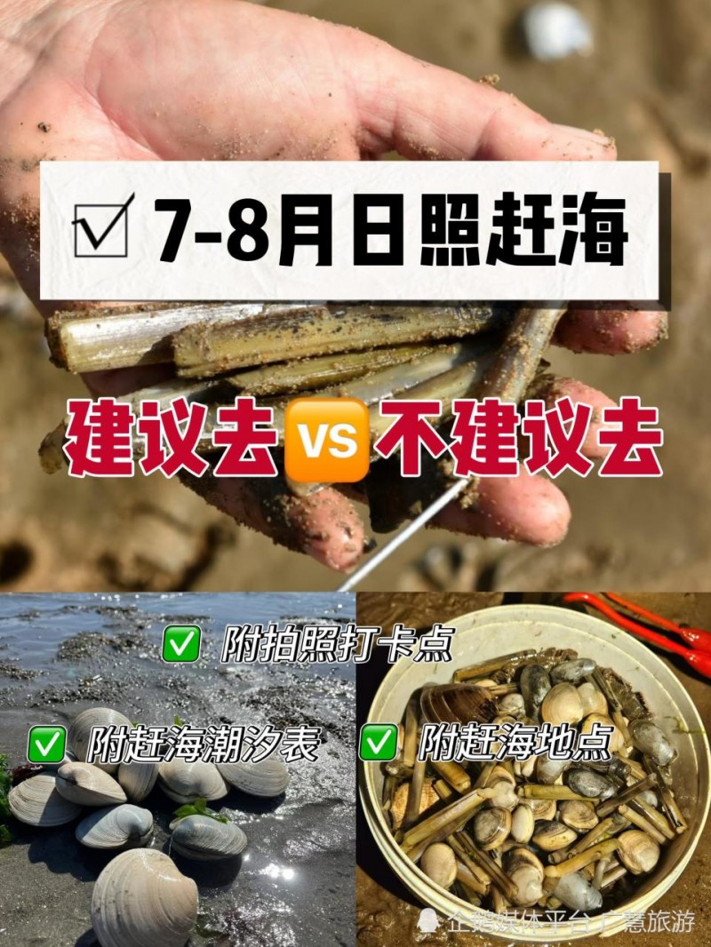 暑假日照攻略，旅行与赶海指南