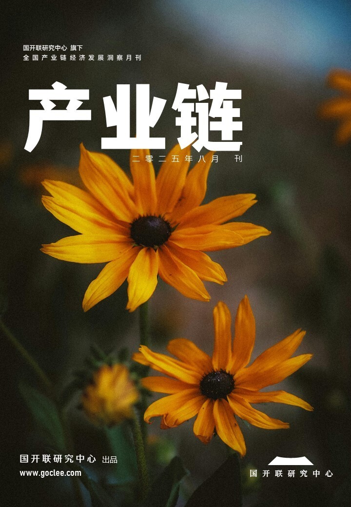 国开联：我国产业链经济政策正从“政策输血”到“产业造血”战略升维