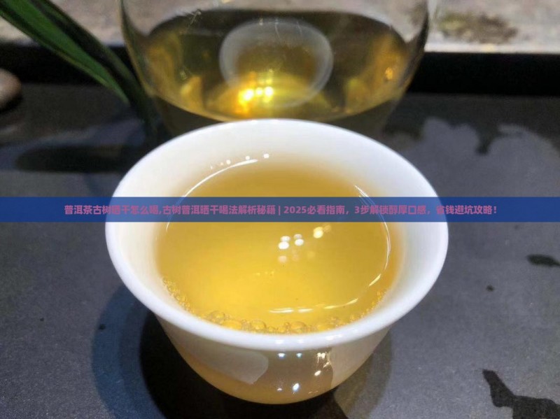 普洱茶古树晒干怎么喝