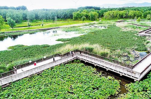 筑牢生态屏障，激活绿色动能——张家口打造首都“两区”建设样本