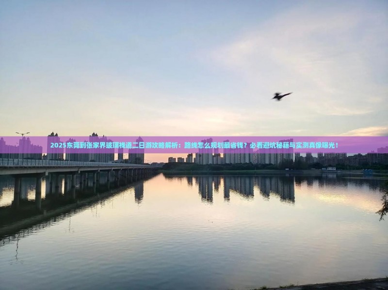 2025东莞到张家界玻璃栈道二日游攻略解析：路线怎么规划最省钱？必看避坑秘籍与实测真像曝光！