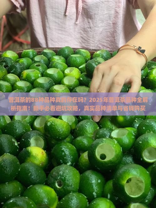 普洱茶的88种品种真的存在吗？2025年普洱茶品种全解析指南！新手必看避坑攻略，真实品种清单与省钱购买秘籍