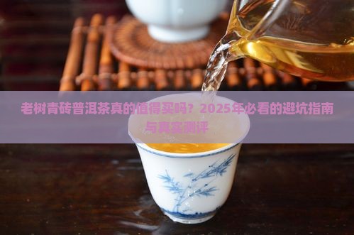 老树青砖普洱茶真的值得买吗？2025年必看的避坑指南与真实测评