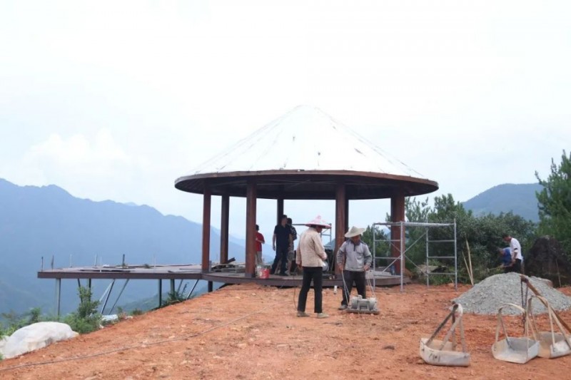 浙西南山乡精彩续写“一亩茶园”的故事