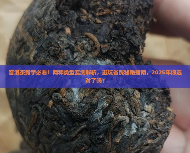 普洱茶新手必看！两种类型实测解析，避坑省钱秘籍指南，2025年你选对了吗？