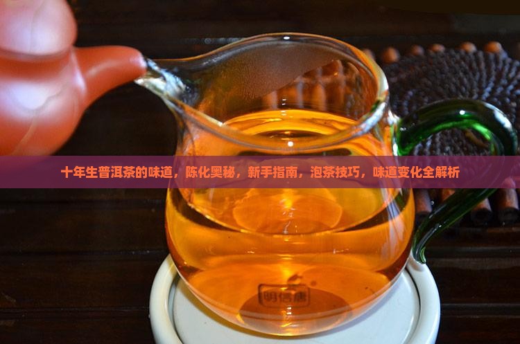 十年生普洱茶的味道