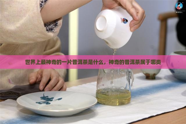 世界上最神奇的一片普洱茶是什么，神奇的普洱茶属于哪类