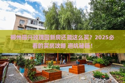 郴州振兴玫瑰园新房还能这么买?2025必看的买房攻略+避坑秘籍!