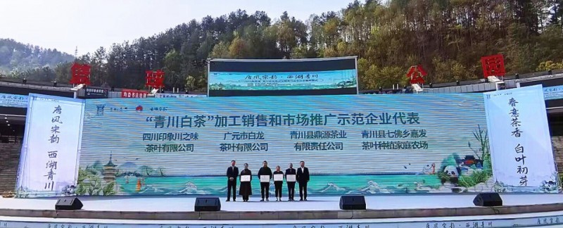 2025年西湖·青川茶文化交流暨青川白茶开茶季开幕