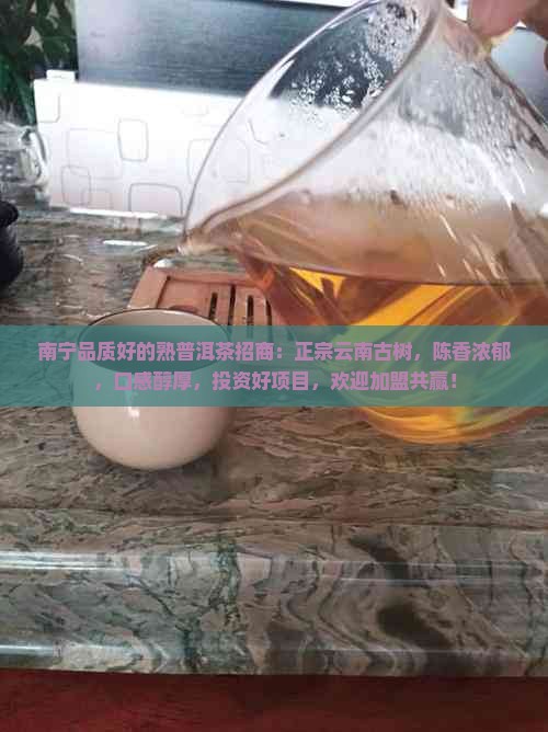 南宁品质好的熟普洱茶招商