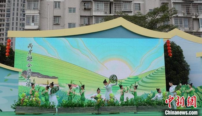 福建大田:一盏美人茶 缘结两岸情