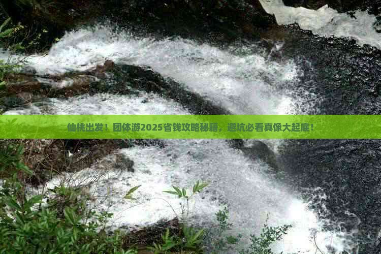 仙桃出发！团体游2025省钱攻略秘籍，避坑必看真像大起底！