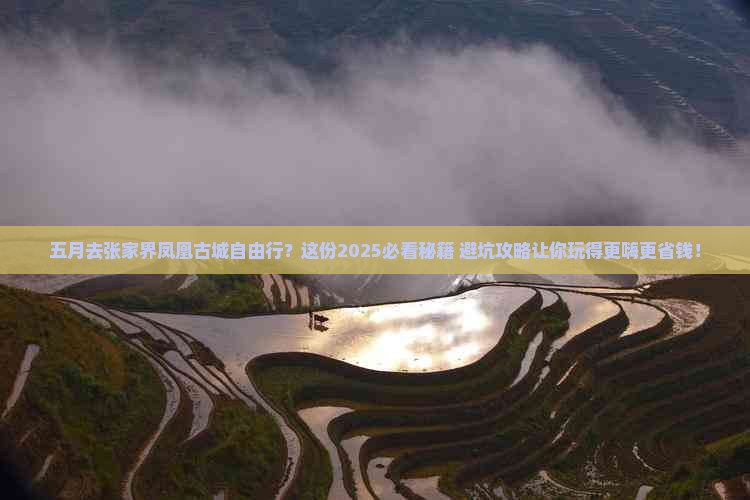 五月去张家界凤凰古城自由行？这份2025必看秘籍+避坑攻略让你玩得更嗨更省钱！